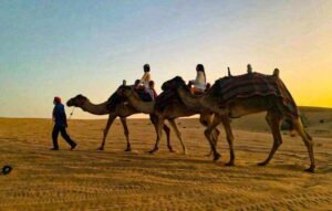 VIP Desert Safari Dubai with BBQ Dinner