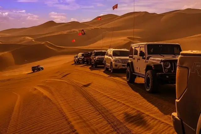 VIP Desert Safari with BBQ Dinner