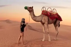 Camel Riding Safari