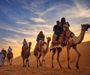 Camel Riding Safari