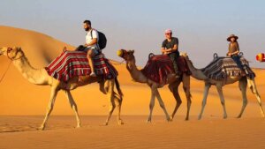 Is Desert Safari in Dubai worth it?