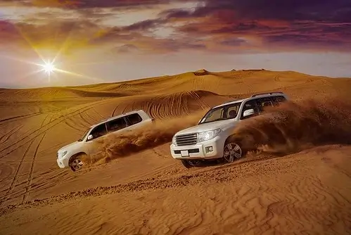 Plan the Perfect Desert Safari in Dubai: A Guide