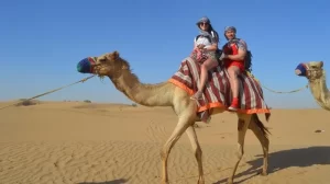 Camel Riding Safari With BBQ Dinner