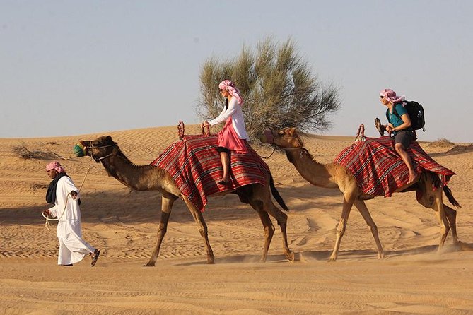 Camel Ride Dubai