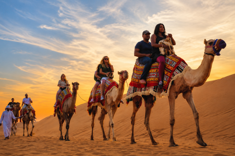 Premium Desert Safari Journey Through Red Dunes